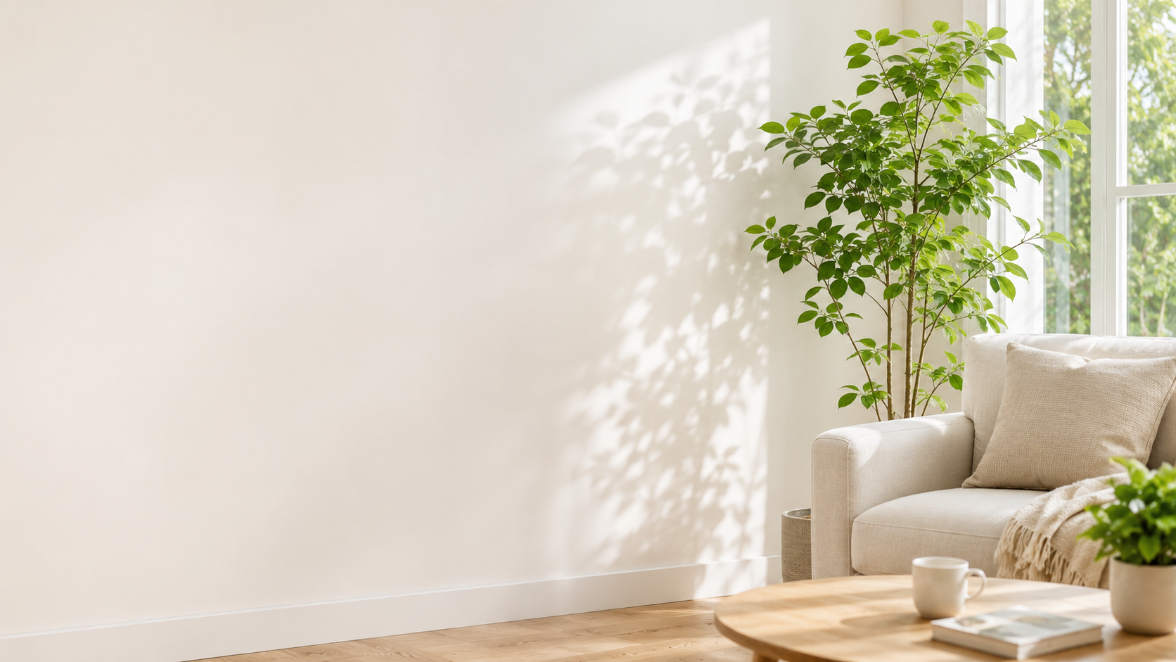自然光の入る室内、観葉植物とソファ